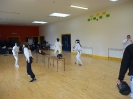 Fencing_1