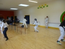 Fencing