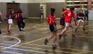Mini Olympic Handball_7
