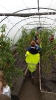 Visit to Brooklodge Nursery_1