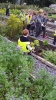 Visit to Brooklodge Nursery_3