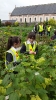 Visit to Brooklodge Nursery_4