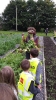 Visit to Brooklodge Nursery_8
