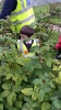 Visit to Brooklodge Nursery_9